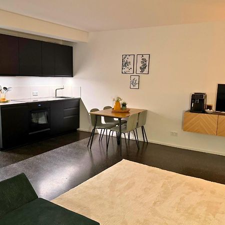 Isaak Apartment Stadtperle Waldshut-Tiengen Luaran gambar