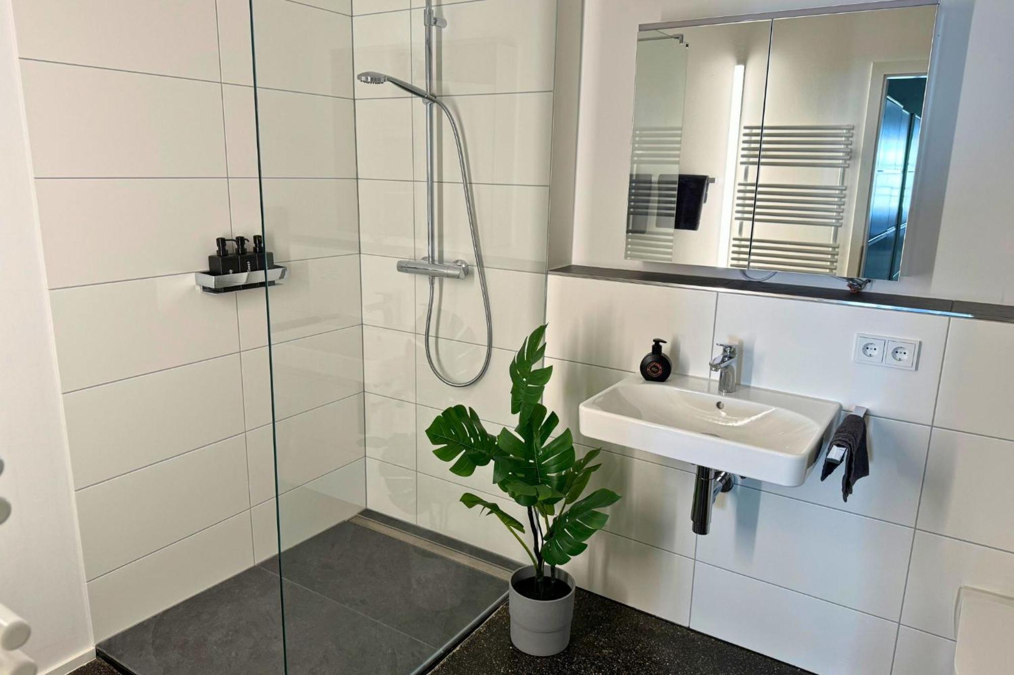 Isaak Apartment Stadtperle Waldshut-Tiengen Luaran gambar